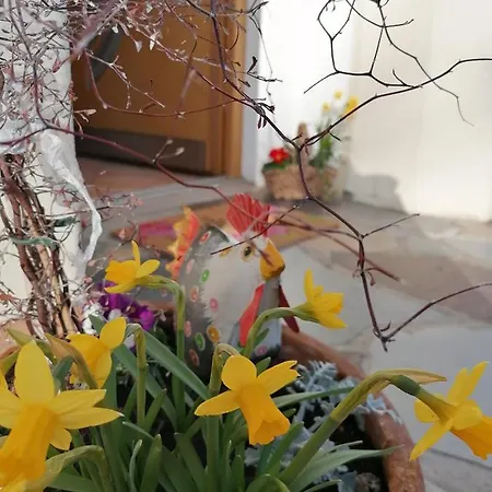 Gaestehaus Alpenblick Habitación en casa particular *