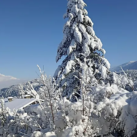 Gaestehaus Alpenblick