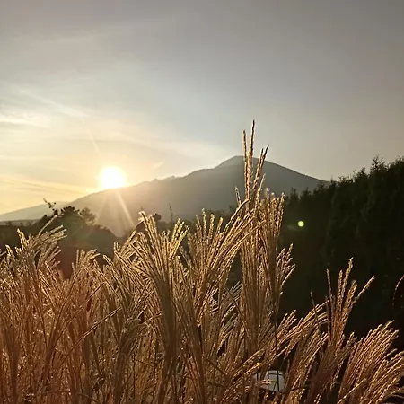 Homestay Gaestehaus Alpenblick