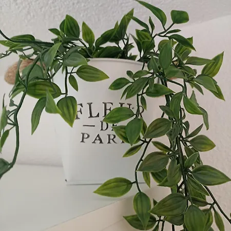 Habitación en casa particular Gaestehaus Alpenblick Mutters