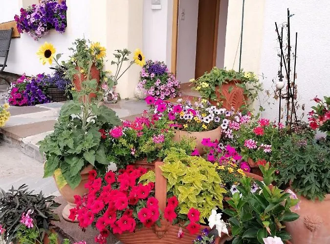 Gaestehaus Alpenblick *