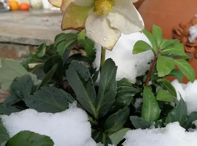 Gaestehaus Alpenblick Mutters