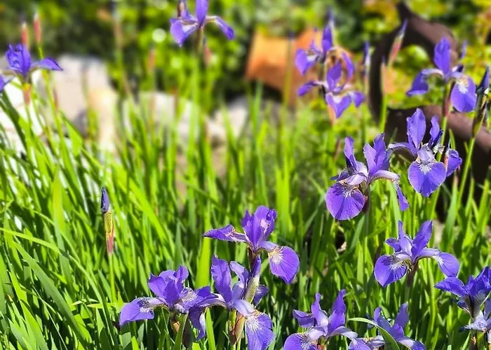 בית אירוח Gaestehaus Alpenblick *
